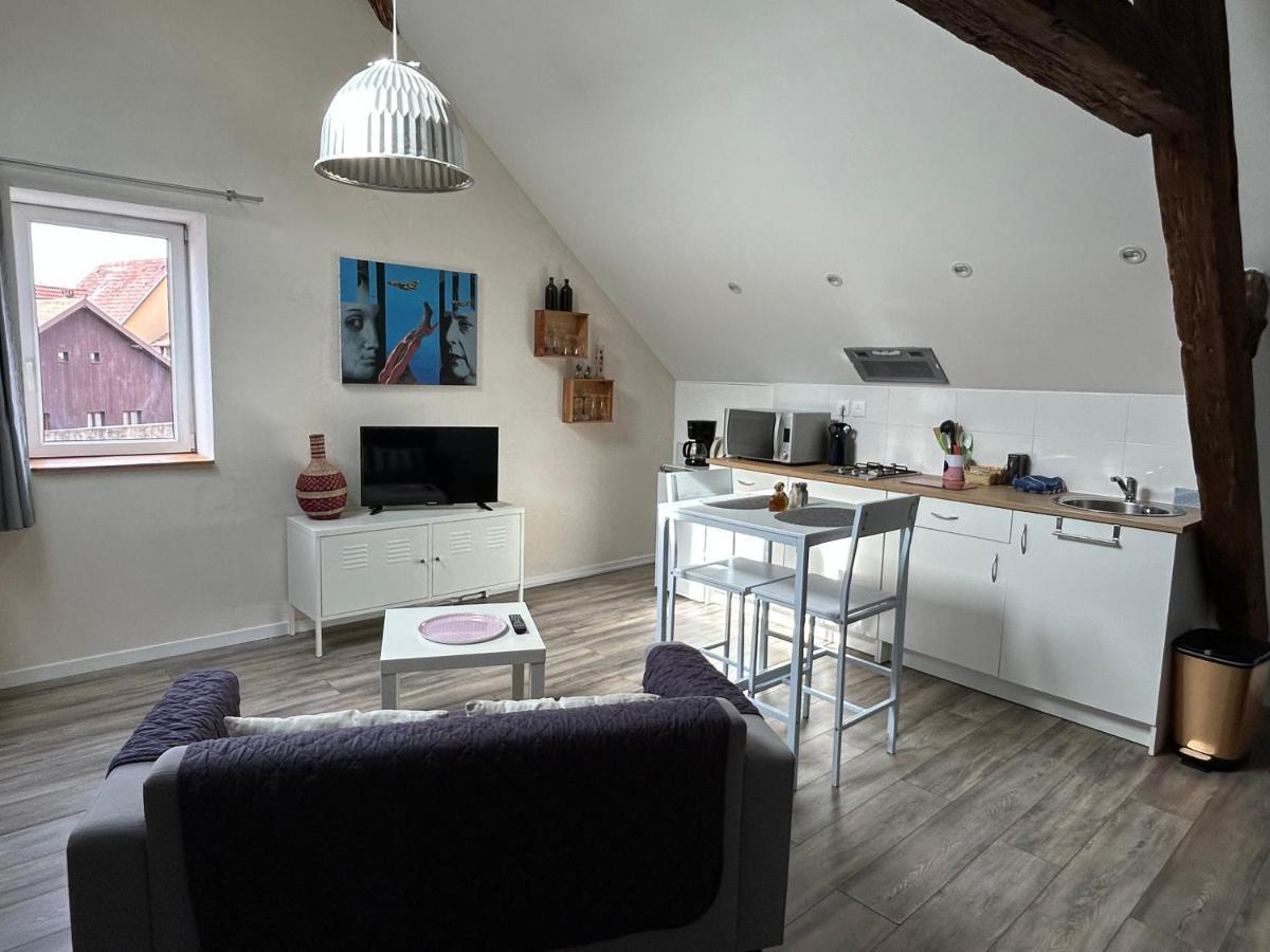 L'Ours De Colmar Bis Appartement Buitenkant foto
