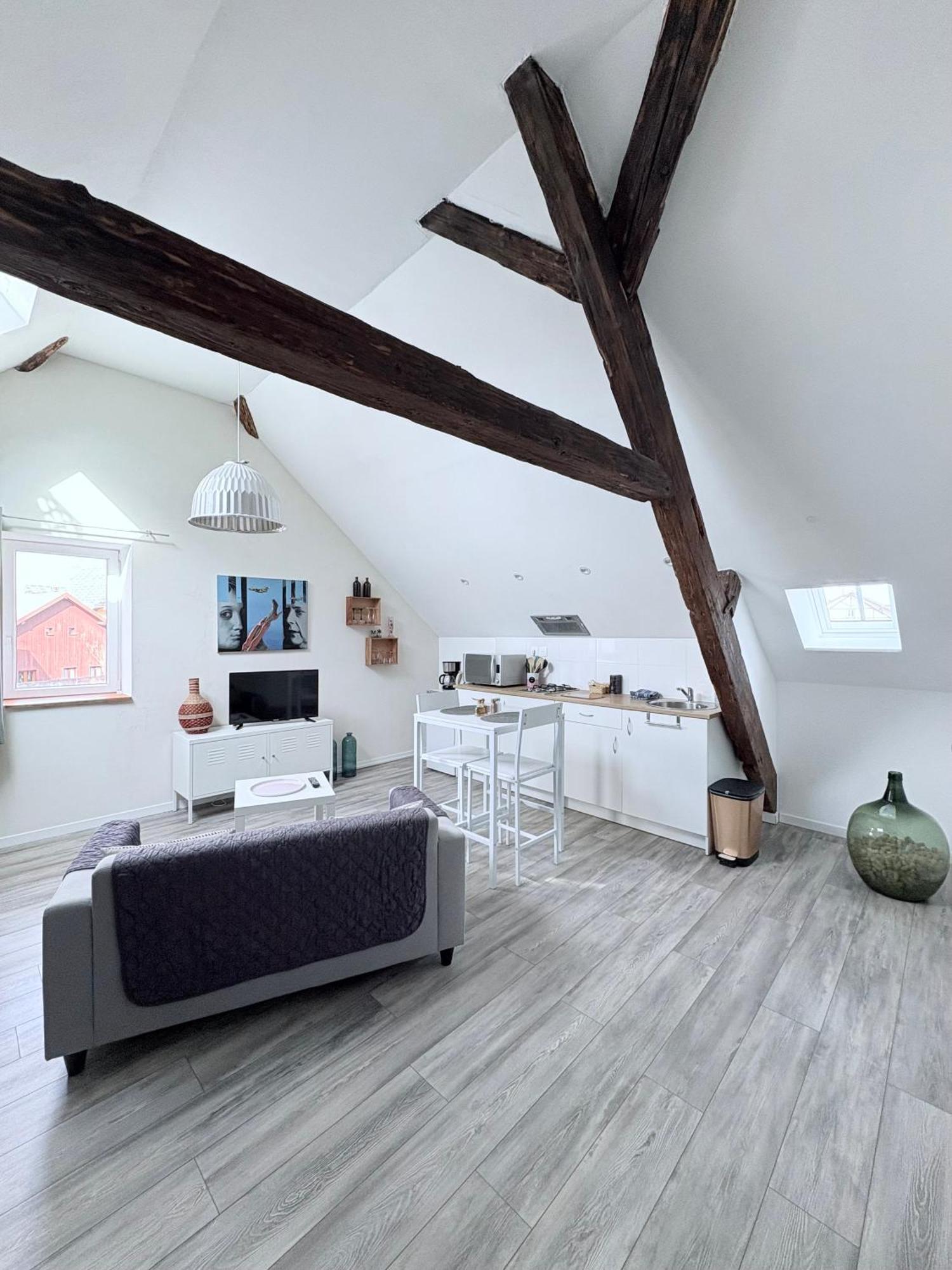 L'Ours De Colmar Bis Appartement Buitenkant foto